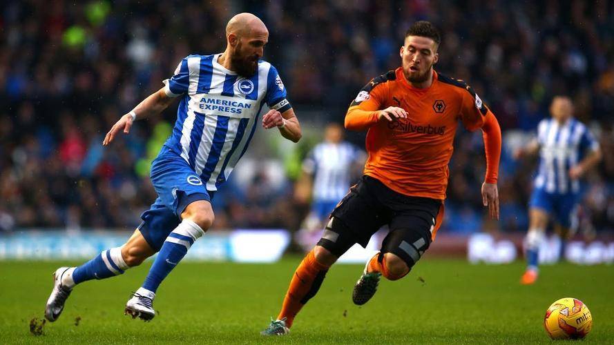 开云体育中国-包含小牛犊大放异彩，美因茨迅速反超对手的词条