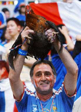 高卢雄鸡主场完胜梅斯，积分榜列第三的简单介绍