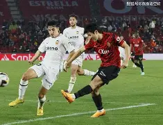 开云体育入口-瓦伦西亚主场告捷，成功报仇雪恨！