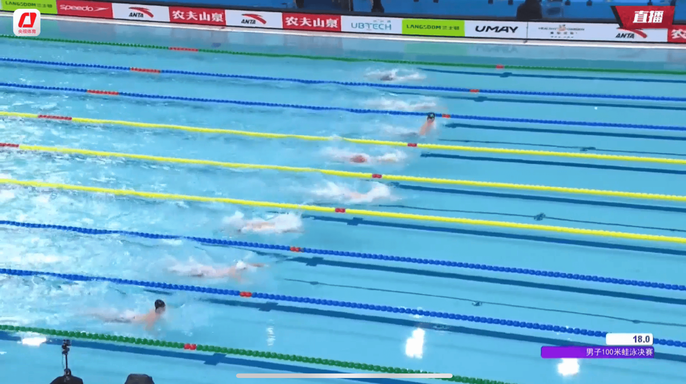 关于游泳比赛选手高歌猛进，齐聚冠军榜的信息