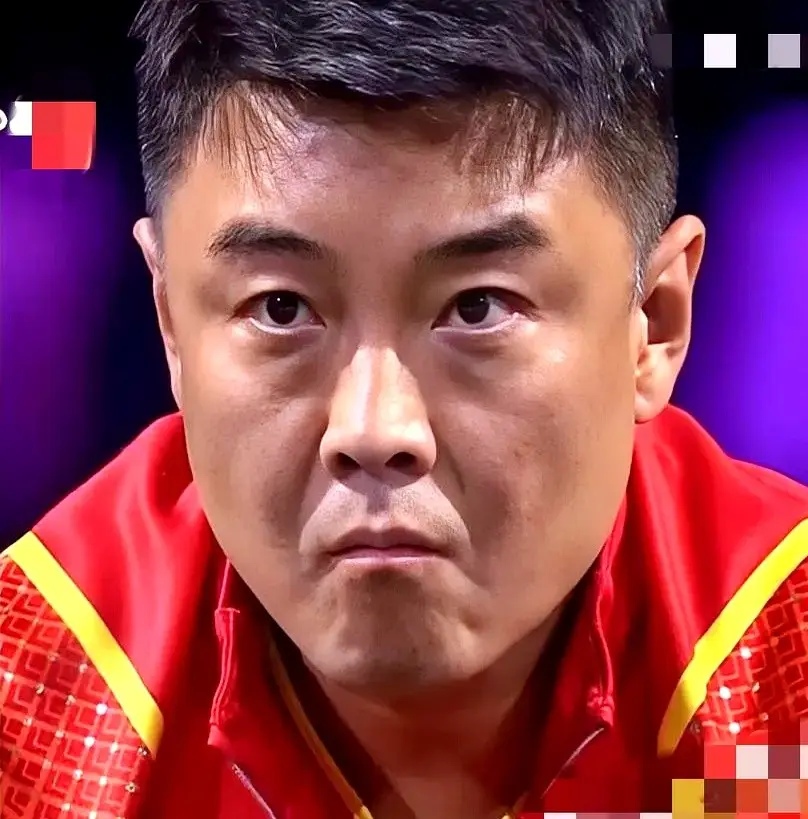 瑞典队绝杀德国队，王皓惊艳四座的简单介绍