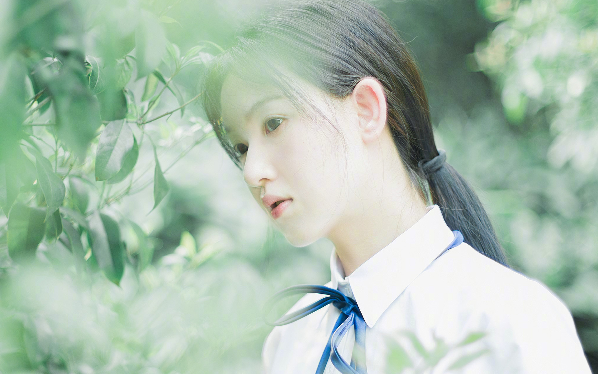 开云体育官网-双重逆转，从黄蜂翻盘尼克斯到小贾伦的世界杯接管