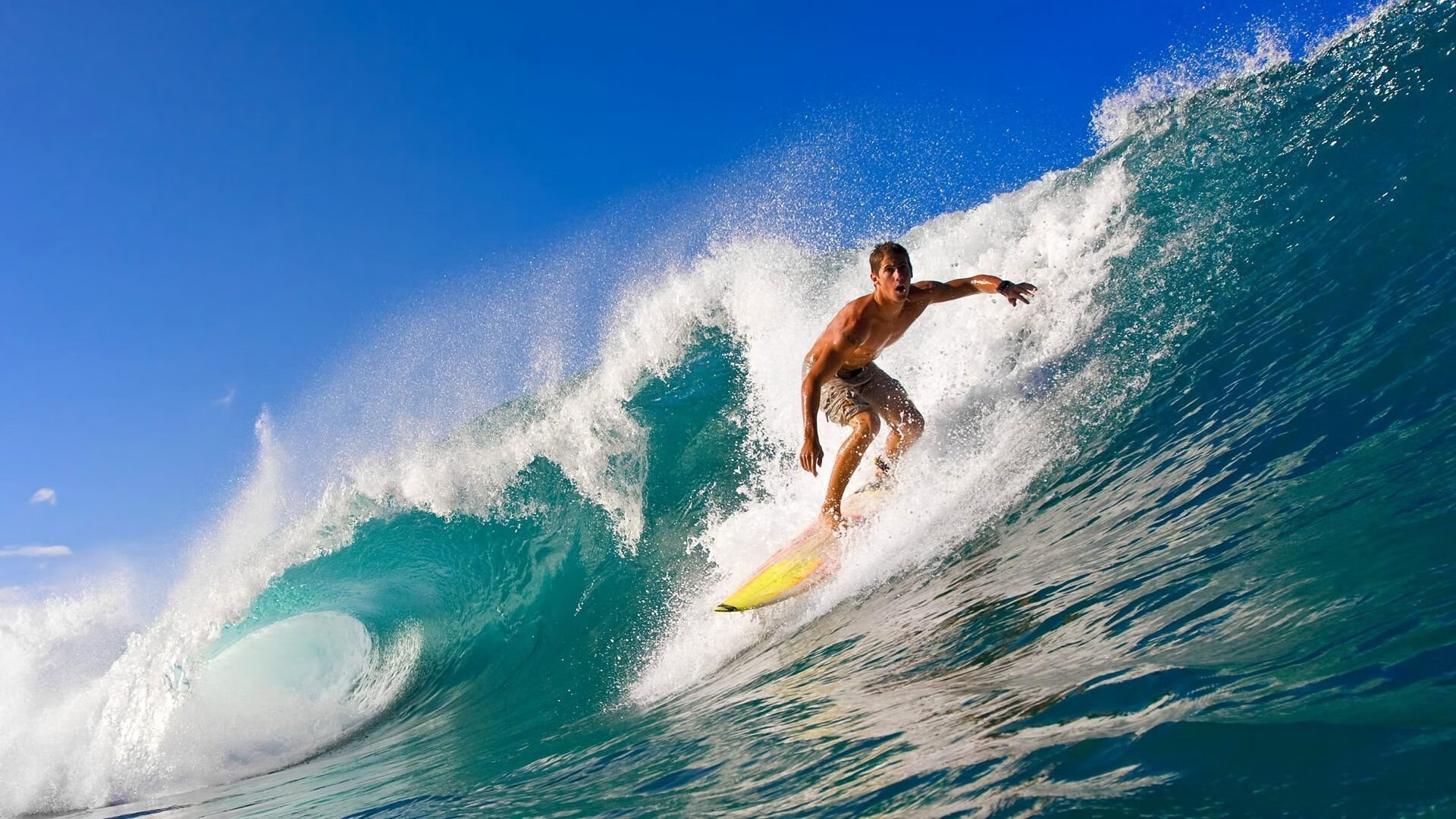 开云体育官方网站-钢铁防线降临北美，魔术师般的防守艺术，如何让勇士在世界杯焦点战中窒息？