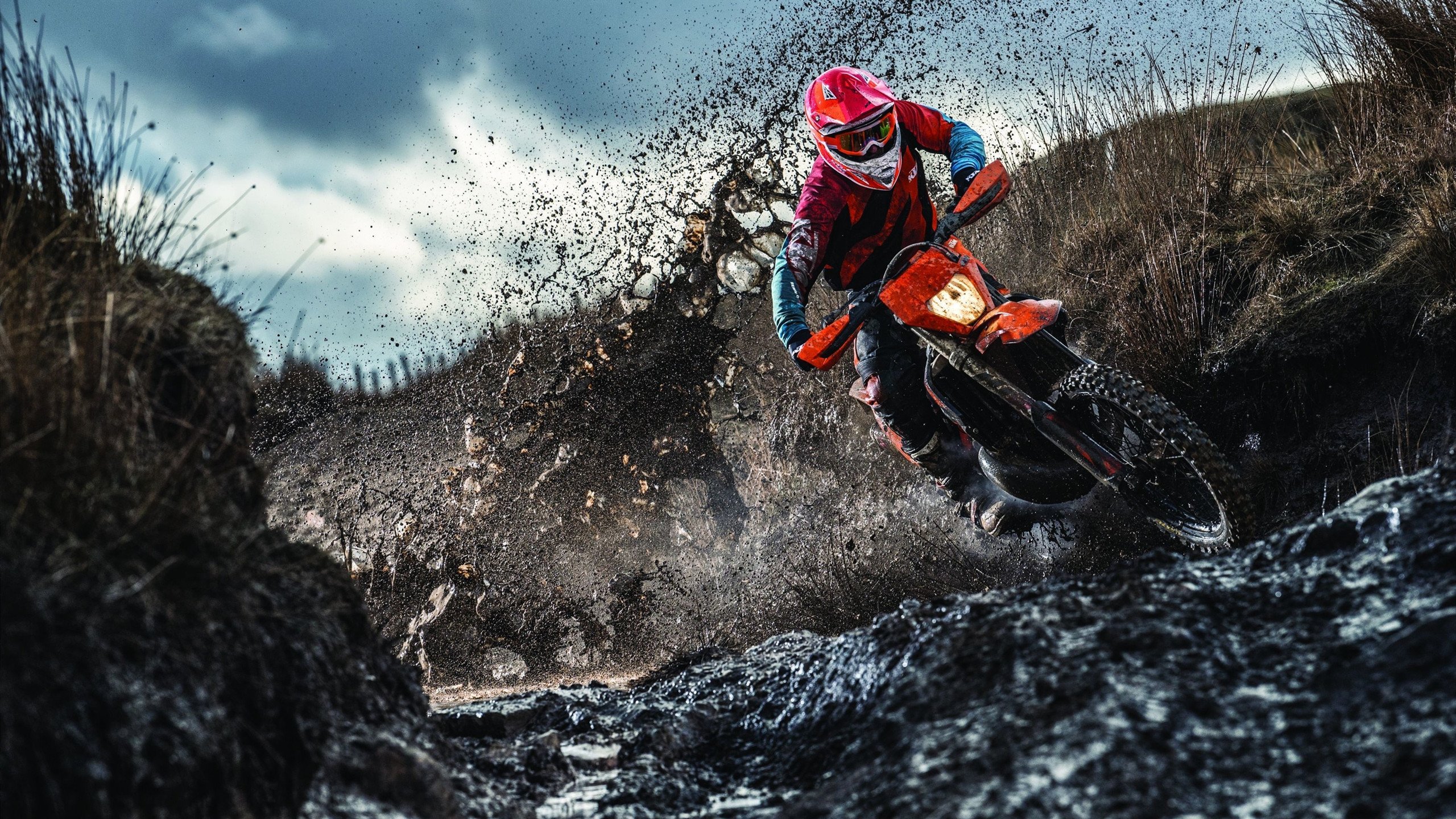 赛道双生焰，红牛铁骑横扫阿斯顿马丁，勒克莱尔孤勇点燃赛场